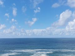 -广东惠东海龟国家级自然保护区