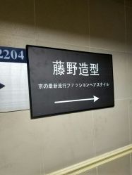 点击看大图 -藤野造型