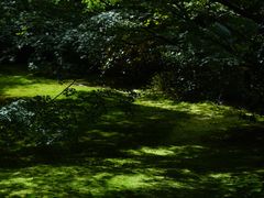 -三千院