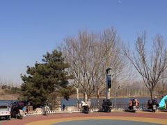 -东郊湿地公园