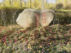 -黄兴公园