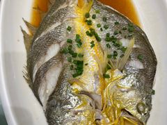 -华盛丰温州大排档(东三环南路店)