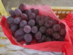 -马陆小张葡萄园农家乐