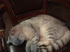 -不舍昼夜咖啡馆