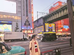 -秋叶原电器街