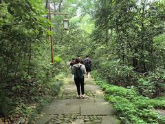 -旅马餐厅(茅家埠店)