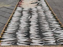 -东钱湖旅游度假区