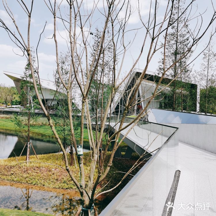 马斯蒂灰大理石应用：奥园|成都麓语ONE