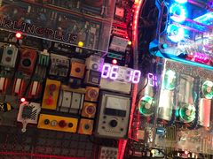 -Darling Queen·Mini·Live·House
