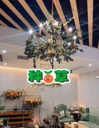 -芳香乐府疗愈空间·SPA·冥想