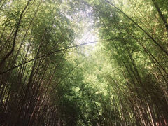 -穹窿山景区