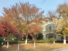 -宜春明月山维景国际温泉度假酒店