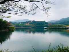 -梅州雁山湖国际花园度假区