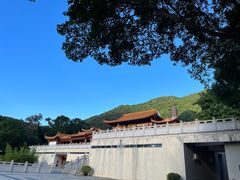 -深圳仙湖植物园