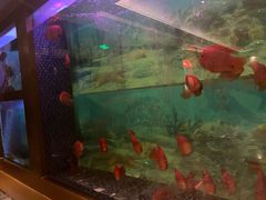 -粤汕小厨(北站店)