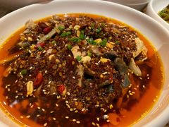 凉拌鸡-铁公鸡·四川料理(天环广场店)