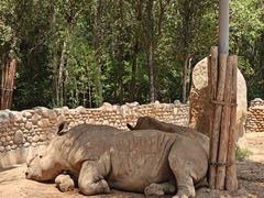 -北京野生动物园