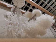 -ZARA(重庆华润万象城中区店)
