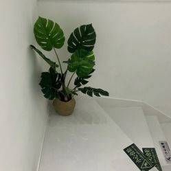 -美奈サロン美甲美睫皮肤管理