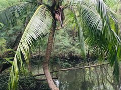 -白沙门生态公园