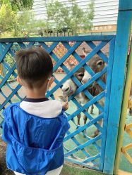 点击看大图 -萌宠亲子动物乐园(槐房万达店)