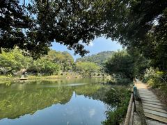-广州市帽峰山景区
