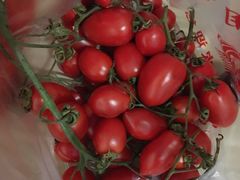 -港华水果街(港华广场店)