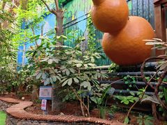 -呀路古热带植物园