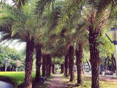 -华南师范大学(广州大学城校区)