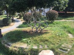 -武汉紫薇都市田园