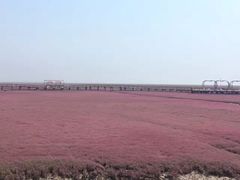 -红海滩国家风景廊道