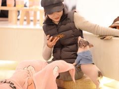-浣熊柯尔鸭土拨鼠·电玩咖