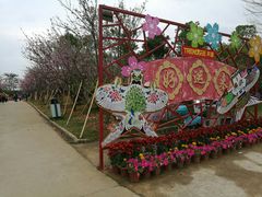 -天适樱花悠乐园