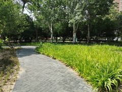 -方庄体育公园
