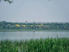 -绿堤公园