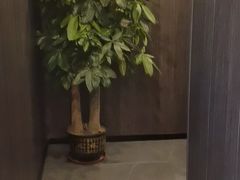 -鹿栖(佛山季华园店)