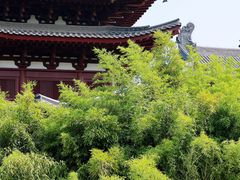 -兴隆文化园景区