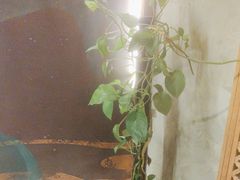 -江湖六膳門串串香(隆礼路店)