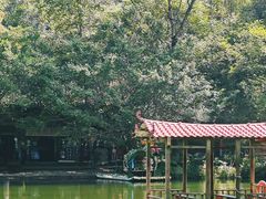 -桂林古东瀑布景区