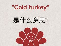 -I-Shine英语国际教育(大三林中心)