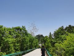 -照金香山旅游景区