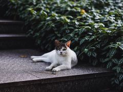-广州珠江公园