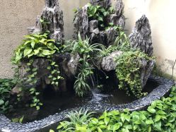 点击看大图 -素颜秀·纹眉·野生眉·纹唇半永久