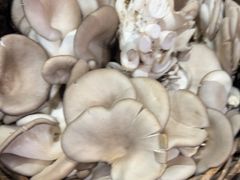 -王婆炒鱼(总店)