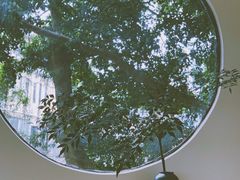 -椿风·养身茶饮(吉大店)
