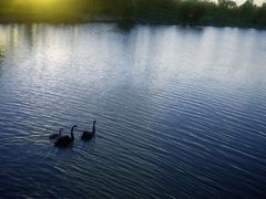 园内湖景-上海怡沁园度假酒店