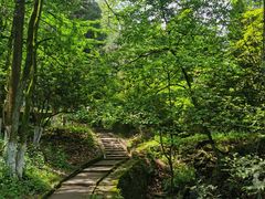 -莫干山风景区