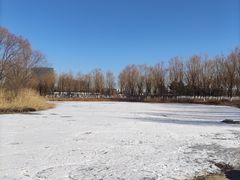 -大兴滨河森林公园