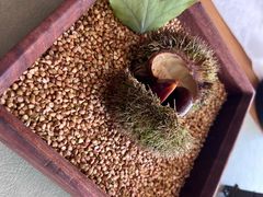 -无味舒食(环岛路店)