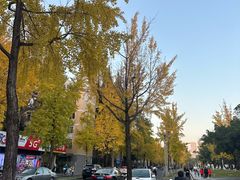 -四川大学(望江校区)